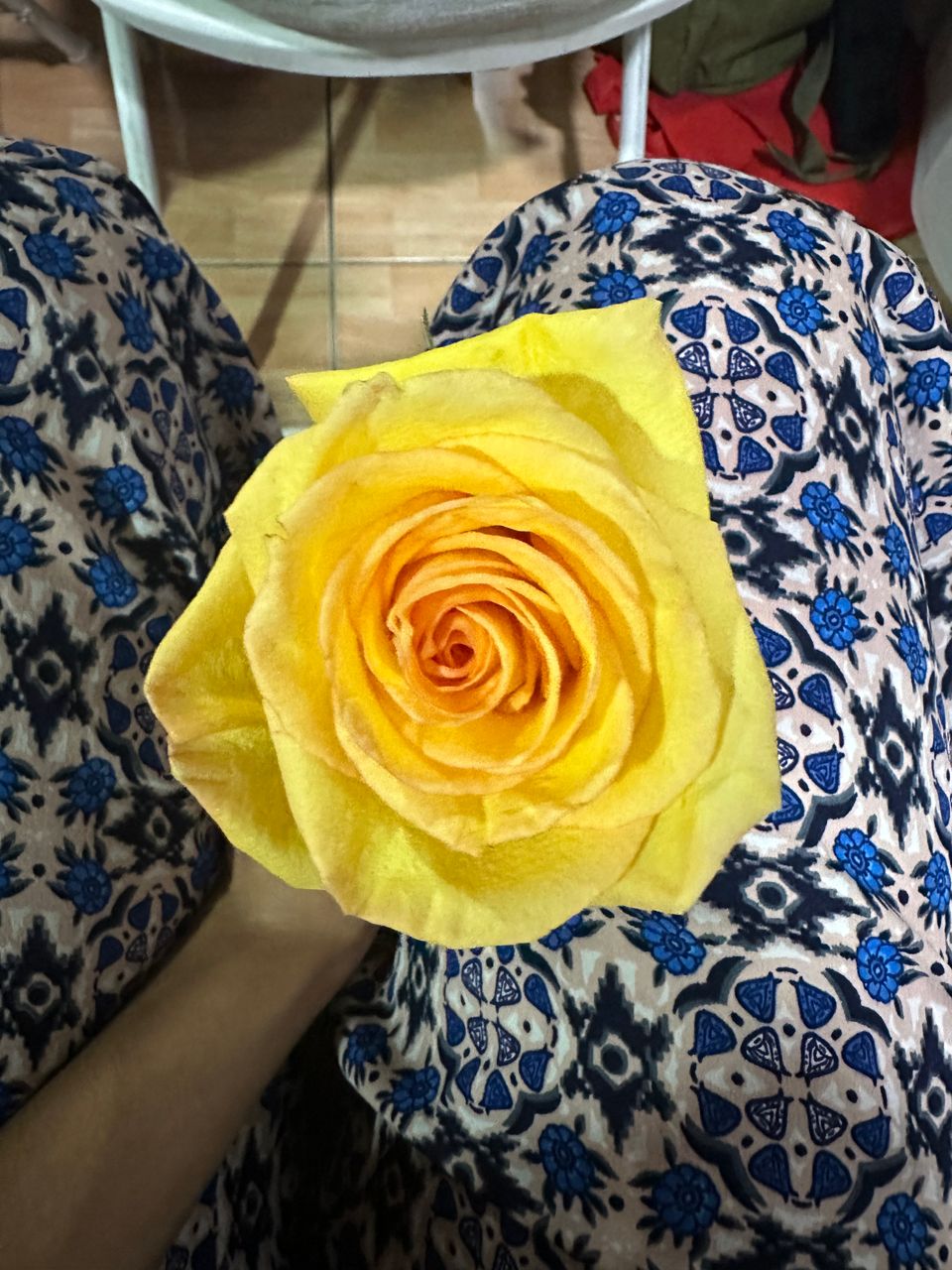 A yellow rose held over a patterned skirt